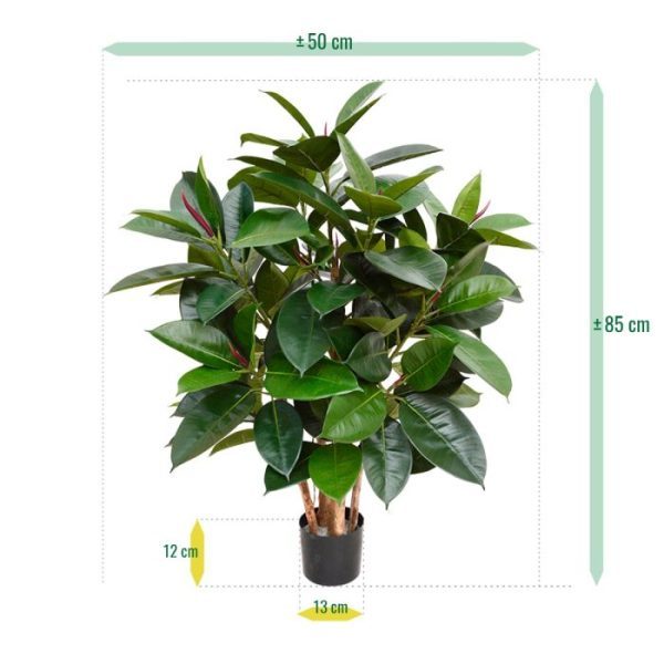 Elastica-Robusta-90-cm-groen-FR-5 Elastica Robusta 90 cm groen FR 5