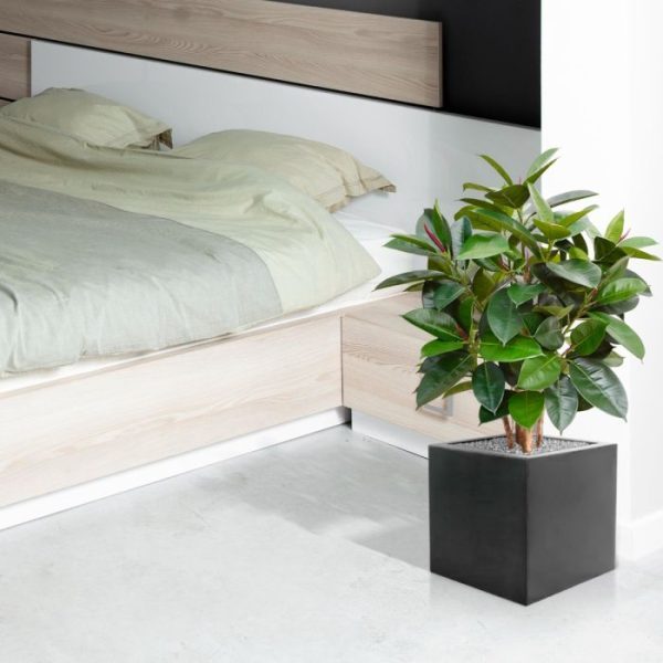 Elastica-Robusta-90-cm-groen-FR-7 Elastica Robusta 90 cm groen FR 7