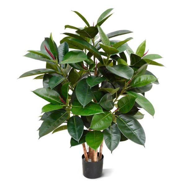 Elastica-Robusta-90-cm-groen-FR-8 Elastica Robusta 90 cm groen FR 8