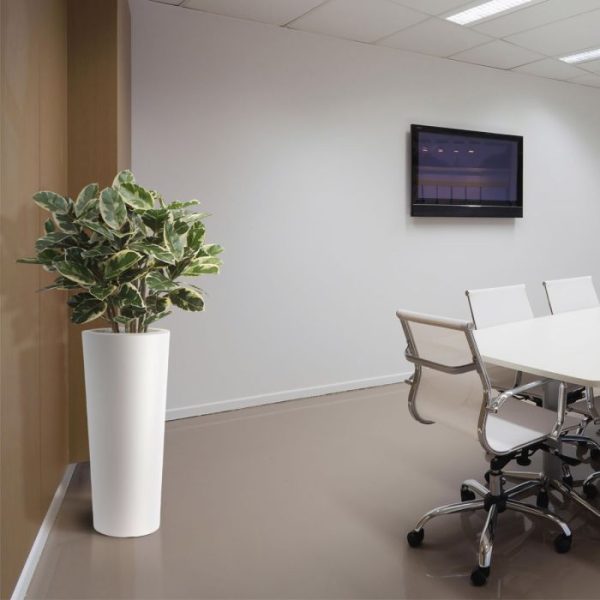 Elastica-Robusta-kunstplant-100-cm-10 Elastica Robusta kunstplant 100 cm 10