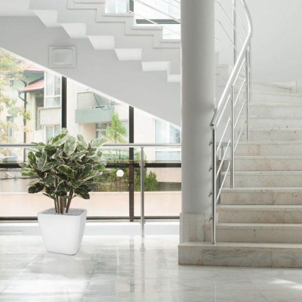 Elastica-Robusta-kunstplant-100-cm-6 Elastica Robusta kunstplant 100 cm 6