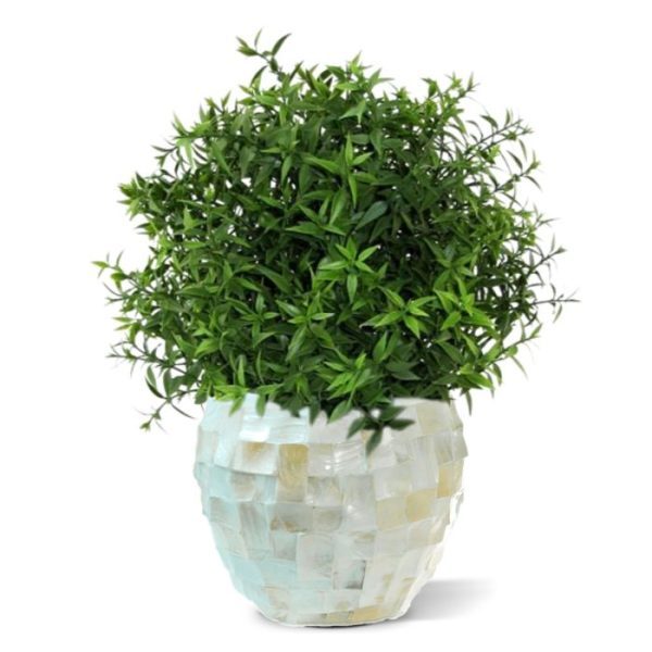 Kunstplanten namelijk een ronde Coprivaso 15cm