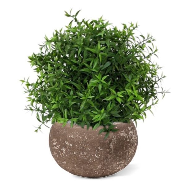 Groene kunstplanten of de vierkante Brussels 14x14cm. Deze zijn direct mee te bestellen.