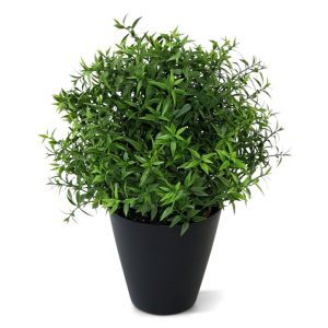 Deze trendy Eucalyptus kunstplant is perfect geschikt voor op tafel of in de vensterbank! De hoogte van de plant is ongeveer 35 cm en de diameter is zo'n 30 cm. De planten worden standaard in een 12 cm plastic binnenpotje geleverd. Er zijn tevens een 2-tal suggesties bijgevoegd voor presentatie in een sierpot