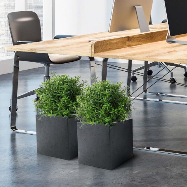 Eucalyptus-kunstplant-35-cm-in-pot-7 Eucalyptus kunstplant 35 cm in pot 7