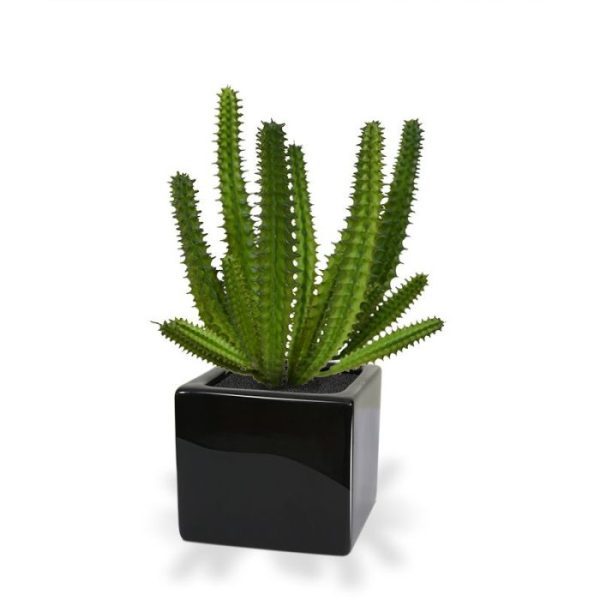 Euphorbia-Mini-Cactus-kunstboeket-20-cm-4 Euphorbia Mini Cactus kunstboeket 20 cm 4