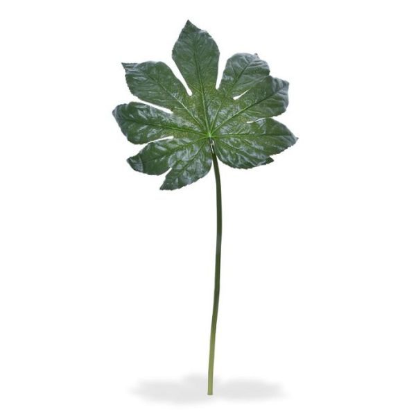 Fatsia kunstblad XL 81 cm 4