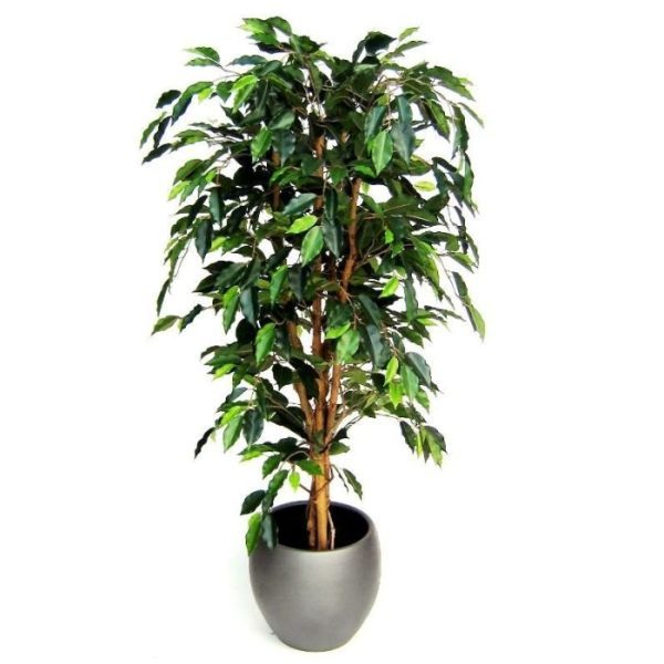 Kunstbomen welke zijn opgebouwd op een echte houten stam.   Standaard wordt deze boom geleverd in een plastic pot. Hoogte: 150 cm   De afgebeelde sierpotten zijn tegen meerprijs verkrijgbaar