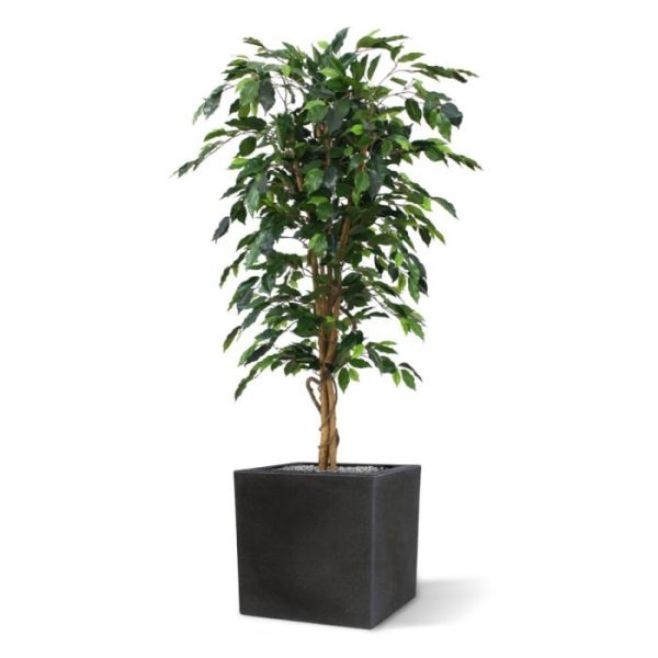 Groene kunstbomen en direct mee te bestellen.