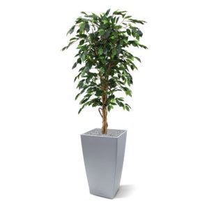 De meestverkochte kunstboom van Nederland!   Deze kunstzijden Ficus is gemaakt uit meer dan 800 blaadjes