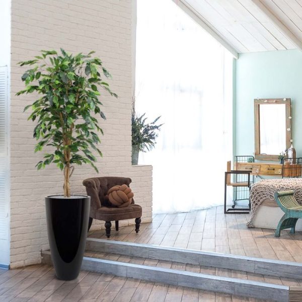 Ficus-Benjamini-Kunstboom-150-cm-5 Ficus Benjamini Kunstboom 150 cm 5