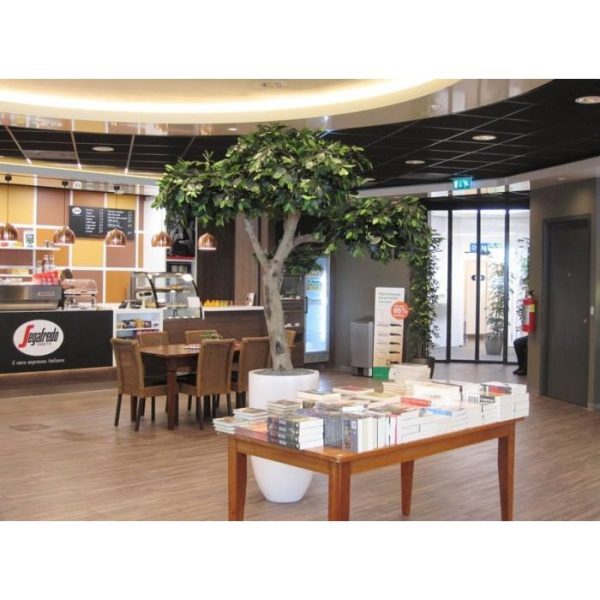 Deze Ficus Compact kunsttak dient als basis product voor vele mogelijkheden en uitvoeringen. Standaard wordt deze kunsttak los geleverd