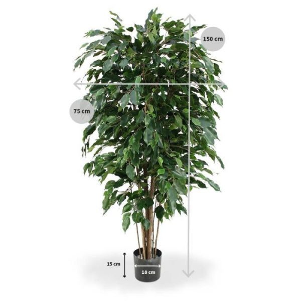 van het bladtype Exotica. Door zijn speciale 3D constructie is hij haast niet van echt te onderscheiden! De bladkleur is groen en de totale hoogte is circa 150 cm. De boom is zeer geschikt voor luxe kantoren of decoratie van luxe woonruimtes. Doordat de boom op 7 echte houten stammen is opgebouwd en over zeer veel blad beschikt behoort de boom absoluut tot het topsegment! Standaard wordt de boom geleverd in een plastic pot. Deze kunstplant is brandvertragend behandeld en zal in open vuur niet snel ontbranden. Derhalve voldoen ze aan de gestelde normen.