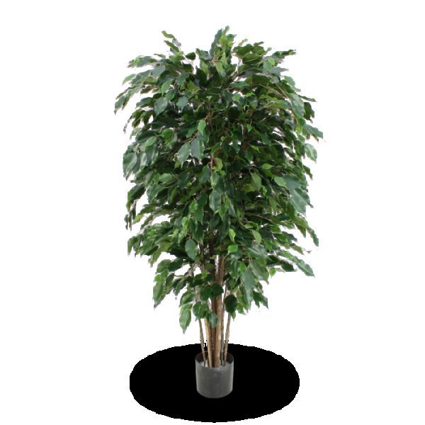 Ficus Exotica Deluxe brandvertragende kunstplant 150 cm groen FR 3