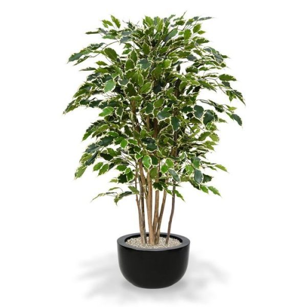 kunstzijden Ficus Deluxe 125 cm bont van het bladtype Exotica. Door zijn 3D constructie is de kunstplant haast niet van echt te onderscheiden! Deze plant is bijzonder veelzijdig en geschikt voor bijna elk interieur. Doordat de ficus op 10 echte houten stammen is opgebouwd en over veel blad beschikt behoort deze absoluut tot het topsegment! De de totale hoogte is circa 125 cm