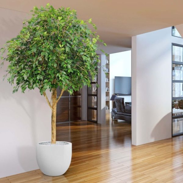 Ficus-Exotica-Giant-290-kunstboom-FR-4 waardoor de totale pot/plant combinatie ± 370 cm hoog bereikt. Standaard wordt de boom geleverd in een binnenbak. De afgebeelde sierpotten zijn niet bij de prijs inbegrepen maar kunnen wel direct mee besteld worden.