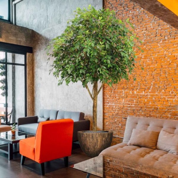 Ficus-Exotica-Giant-290-kunstboom-FR-5 Ficus Exotica Giant 290 kunstboom FR 5