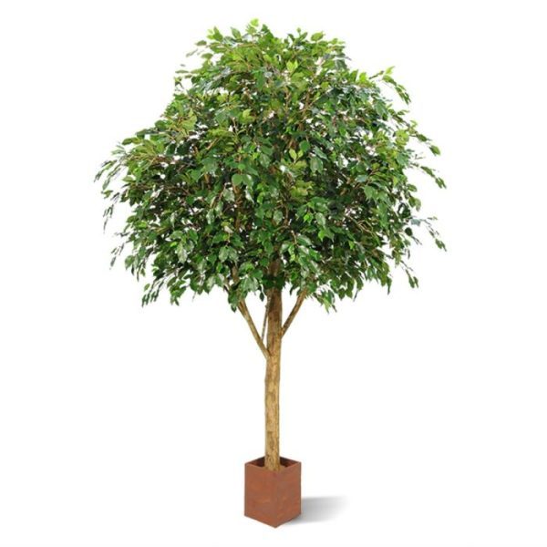 Ficus-Exotica-Giant-290-kunstboom-FR-7 Ficus Exotica Giant 290 kunstboom FR 7