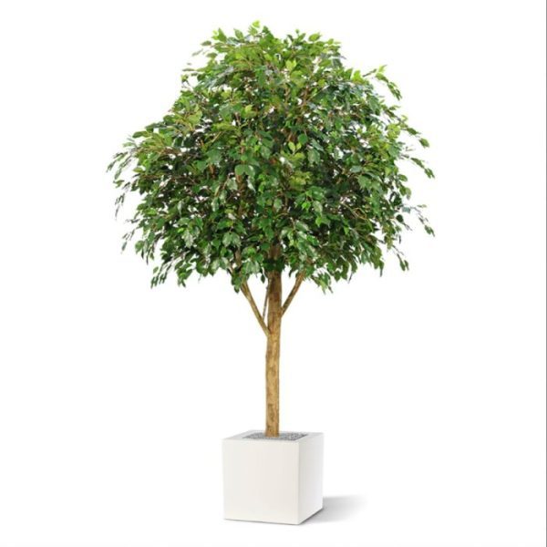Ficus-Exotica-Giant-290-kunstboom-FR-8 Ficus Exotica Giant 290 kunstboom FR 8
