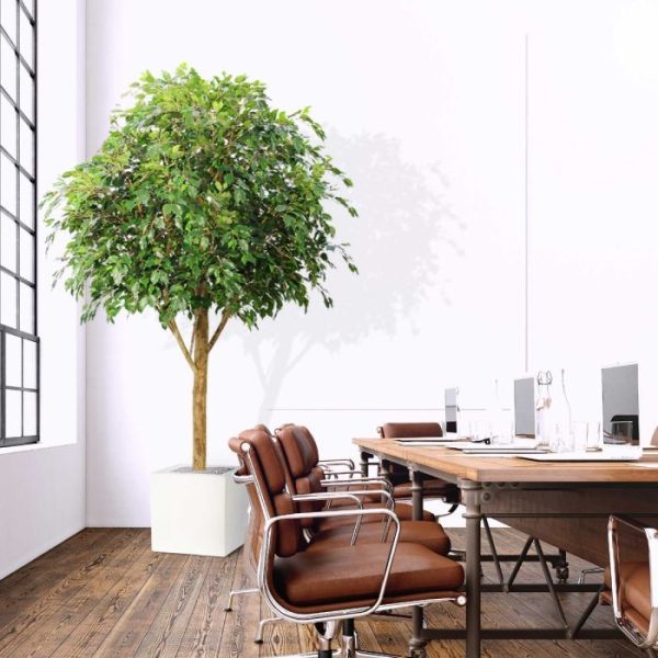 Ficus-Exotica-Giant-290-kunstboom-FR-9 Ficus Exotica Giant 290 kunstboom FR 9
