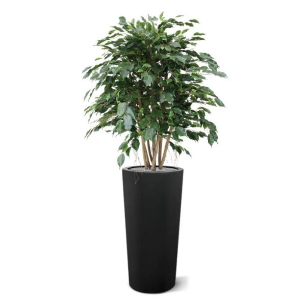 Ficus-Exotica-XL-110-cm-kunstplant-10 Ficus Exotica XL 110 cm kunstplant 10