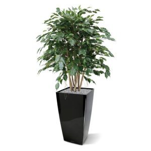 Mooi is deze uiterst natuurgetrouw nagemaakte kunstzijden Ficus kunstplant