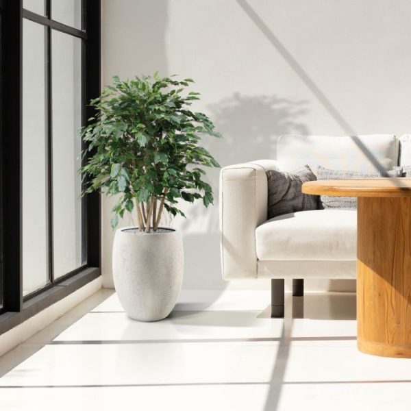 Ficus-Exotica-XL-110-cm-kunstplant-6 Ficus Exotica XL 110 cm kunstplant 6