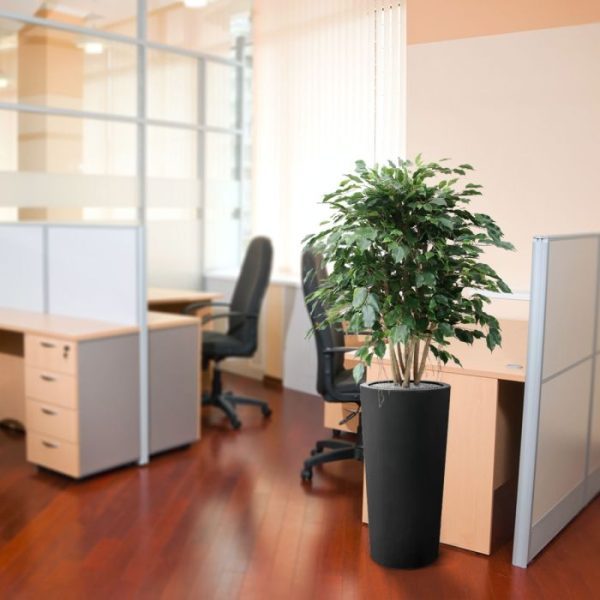 Ficus-Exotica-XL-110-cm-kunstplant-7 Ficus Exotica XL 110 cm kunstplant 7