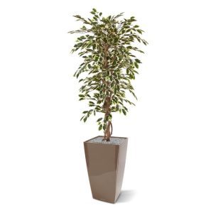 De Ficus Hawai behoort tot de meest bekende en populaire kamerplanten die er zijn en dit exemplaar is dan ook een van de bestverkochte kunstbomen. Dat is niet zo gek