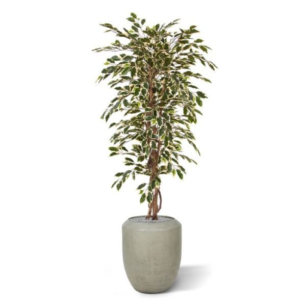 Ficus-Hawai-kunstboom-150-cm-8 Ficus Hawai kunstboom 150 cm 8