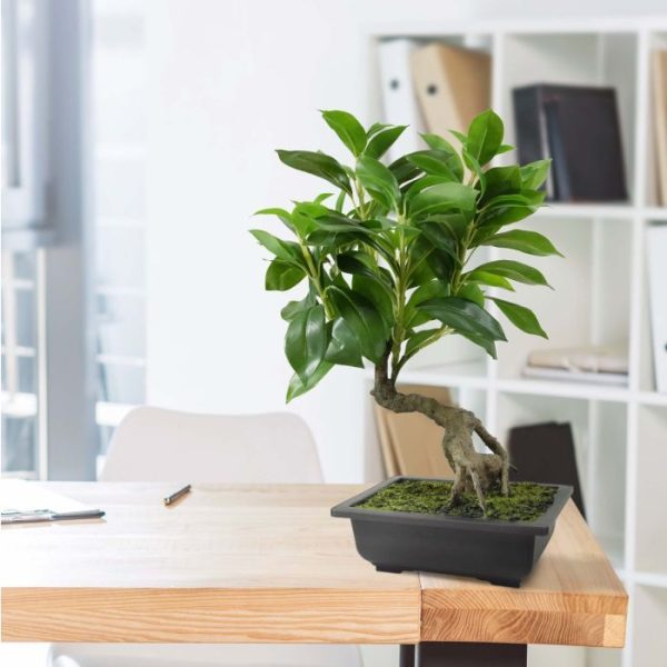 Kunstplanten Ficus kunst Bonsai in schaal 50 cm 1