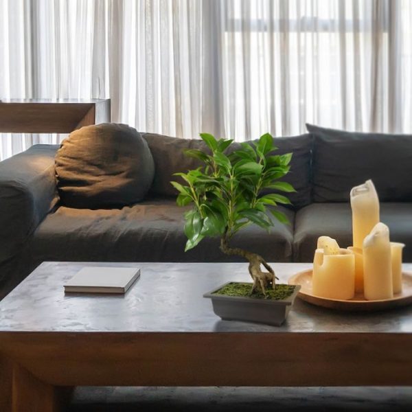 Ficus-kunst-Bonsai-in-schaal-50-cm-5 Ficus kunst Bonsai in schaal 50 cm 5