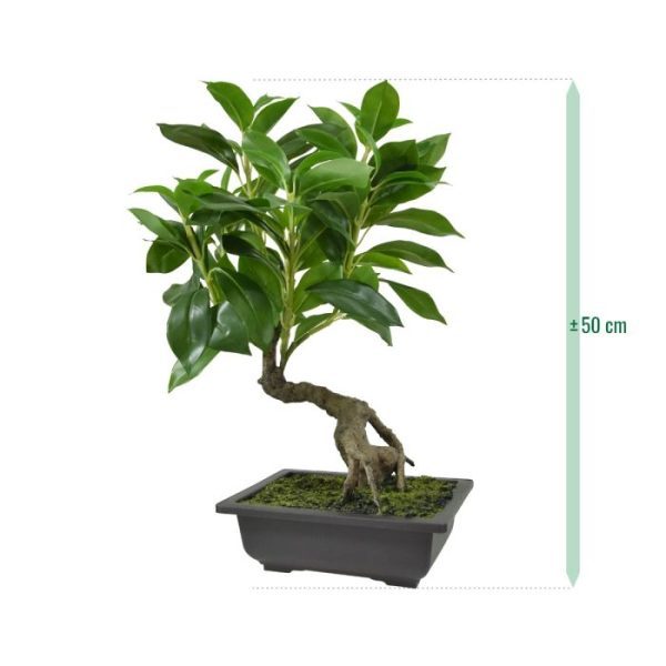 Ficus kunst Bonsai in schaal 50 cm Ficus kunst Bonsai in schaal 50 cm