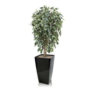 Uiterst natuurgetrouw nagemaakte kunstzijden Ficus