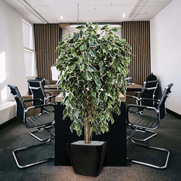 Ficus-kunstboom-Exotica-Deluxe-150-cm-bont-9 Ficus kunstboom Exotica Deluxe 150 cm bont 9