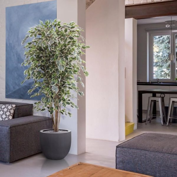 Ficus-kunstboom-Exotica-Deluxe-180-cm-bont-4 Ficus kunstboom Exotica Deluxe 180 cm bont 4