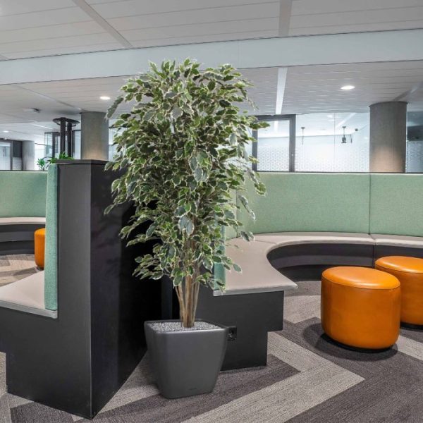 Ficus-kunstboom-Exotica-Deluxe-180-cm-bont-5 Ficus kunstboom Exotica Deluxe 180 cm bont 5