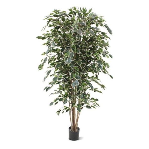 Ficus-kunstboom-Exotica-Deluxe-180-cm-bont-7 Ficus kunstboom Exotica Deluxe 180 cm bont 7