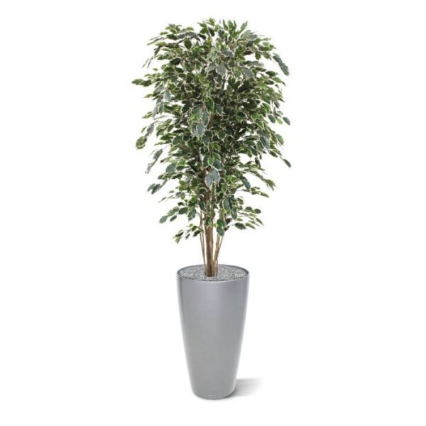 Ficus-kunstboom-Exotica-Deluxe-180-cm-bont-8 Ficus kunstboom Exotica Deluxe 180 cm bont 8
