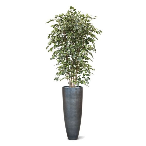 Ficus-kunstboom-Exotica-Deluxe-210-cm-bont-10 Ficus kunstboom Exotica Deluxe 210 cm bont 10