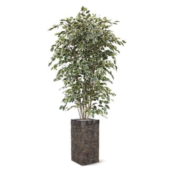 Groene kunstbomen Ficus kunstboom Exotica Deluxe 210 cm bont 2