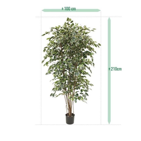 Ficus-kunstboom-Exotica-Deluxe-210-cm-bont-4 Ficus kunstboom Exotica Deluxe 210 cm bont 4