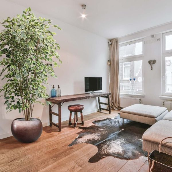 Ficus-kunstboom-Exotica-Deluxe-210-cm-bont-5 Ficus kunstboom Exotica Deluxe 210 cm bont 5