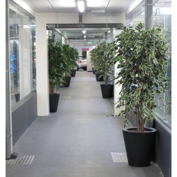 Ficus-kunstboom-Exotica-Deluxe-210-cm-bont-7 Ficus kunstboom Exotica Deluxe 210 cm bont 7