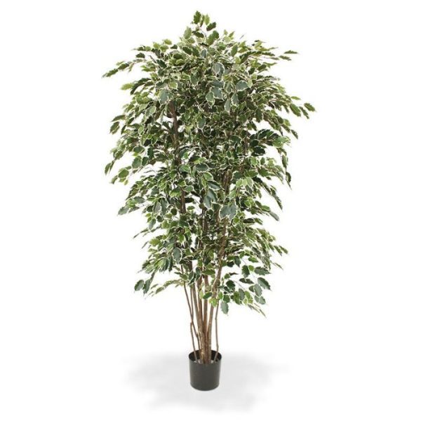 Ficus-kunstboom-Exotica-Deluxe-210-cm-bont-9 Ficus kunstboom Exotica Deluxe 210 cm bont 9
