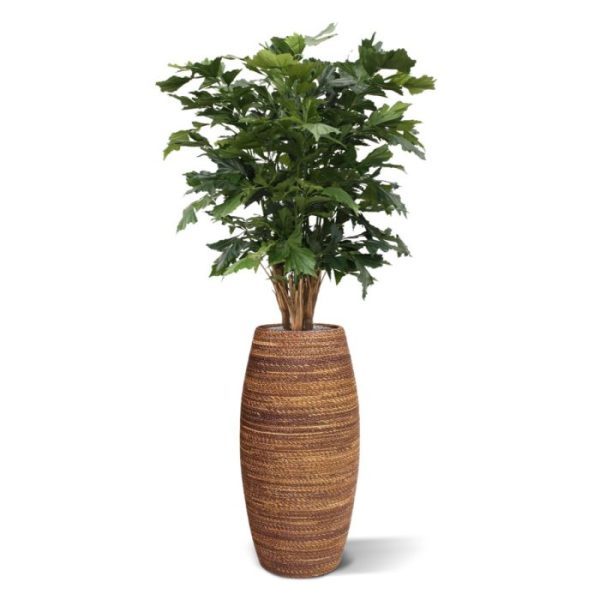 Fishtail-kunstpalm-XL-Deluxe-130-cm-3 Fishtail kunstpalm XL Deluxe 130 cm 3