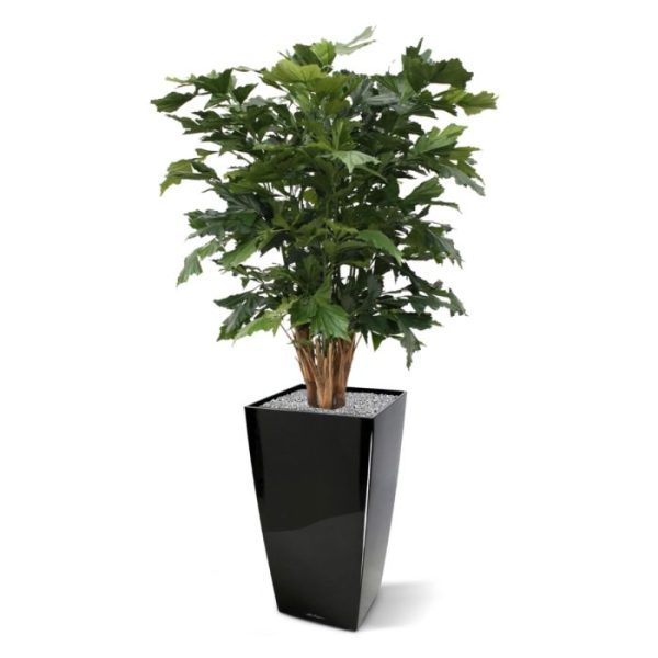 Fishtail-kunstpalm-XL-Deluxe-130-cm-4 Fishtail kunstpalm XL Deluxe 130 cm 4