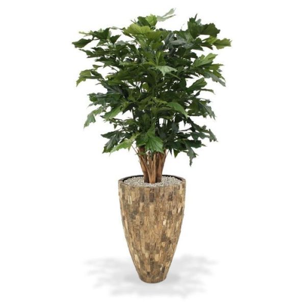 Fishtail kunstpalm XL Deluxe 130 cm Een speciale soort uit de palmen familie is de Fishtail palm