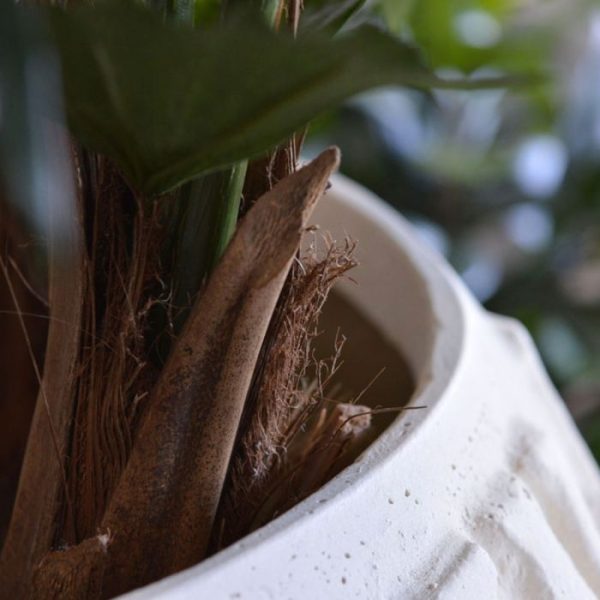 Fishtail-kunstpalm-XL-Deluxe-130-cm-7 Fishtail kunstpalm XL Deluxe 130 cm 7