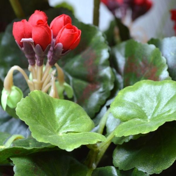 Kunstplanten 2 kleinere en 2 welke nog in de knop zitten. De kunstzijden bladeren hebben verschillende groottes en kleuren